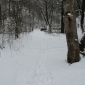 Бърдото - 4-ти март - зимна приказка (снимки)